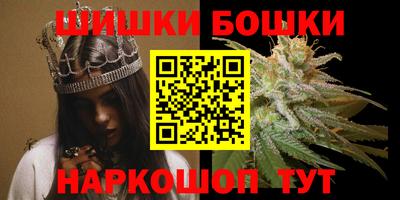 индика Краснознаменск