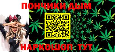 индика Краснознаменск