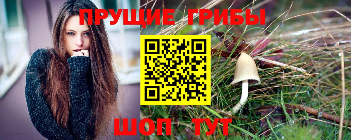 Галлюциногенные грибы GOLDEN TEACHER  Вход с VPN  Котовск 